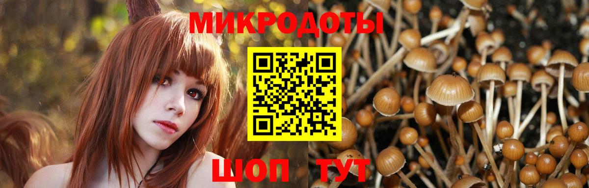 Камышин  Галлюциногенные грибы GOLDEN TEACHER  Вход с VPN  Галлюциногенные грибы прущие грибы 
