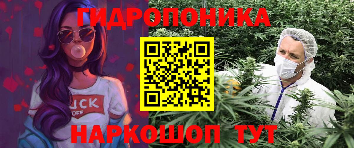 Шишки марихуана Amnesia  Вход с VPN  Камышин  Конопля VHQ 